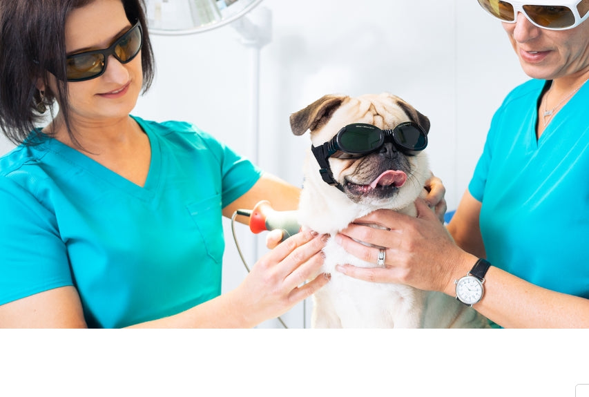 PetSpex Veterinary Laser Safety Goggle Pack – 4 Sizes to Fit All Pets